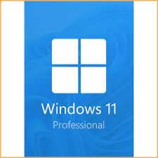 Windows 11 Professional 64 bit upgrade - itzoo