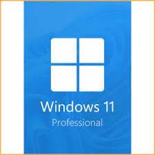 Windows 11 Professional 64 bit upgrade